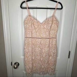 Peach Lace Fitted Dress